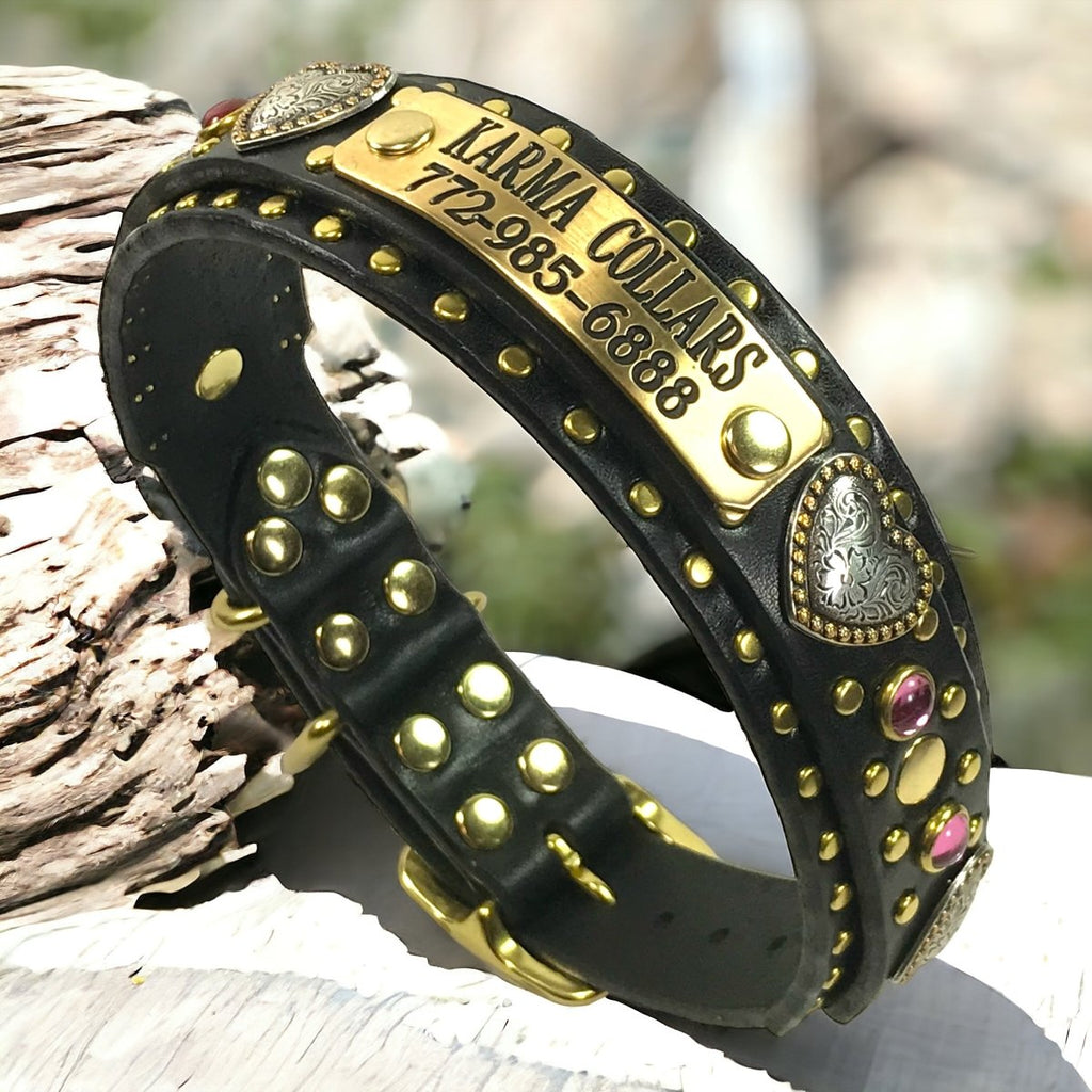 Custom Leather Dog Collar Humboldt