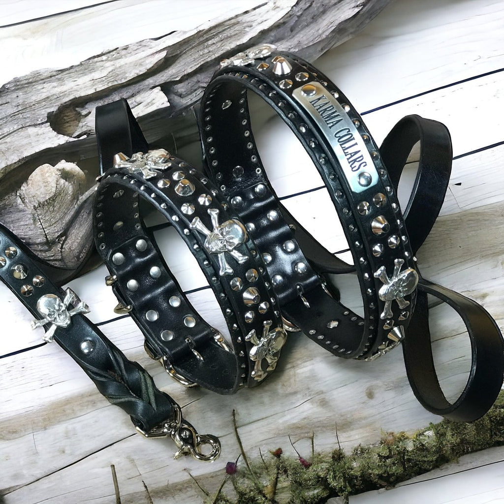 Matching Leather Dog Leash Barbarossa