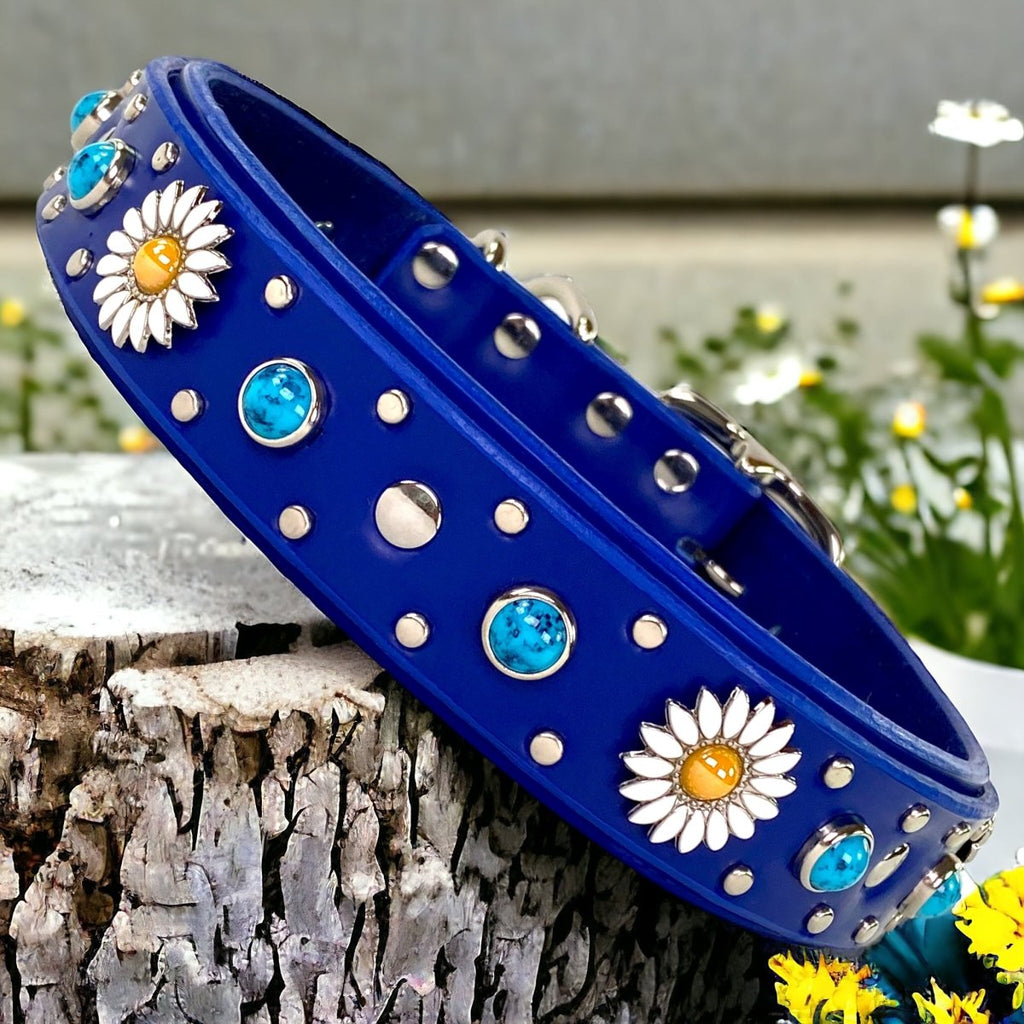 Blue Dog Collar Kalina