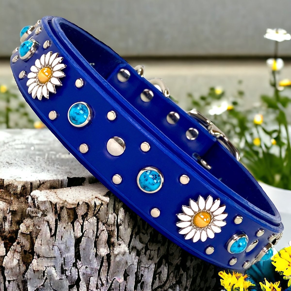 Blue Dog Collar Kalina
