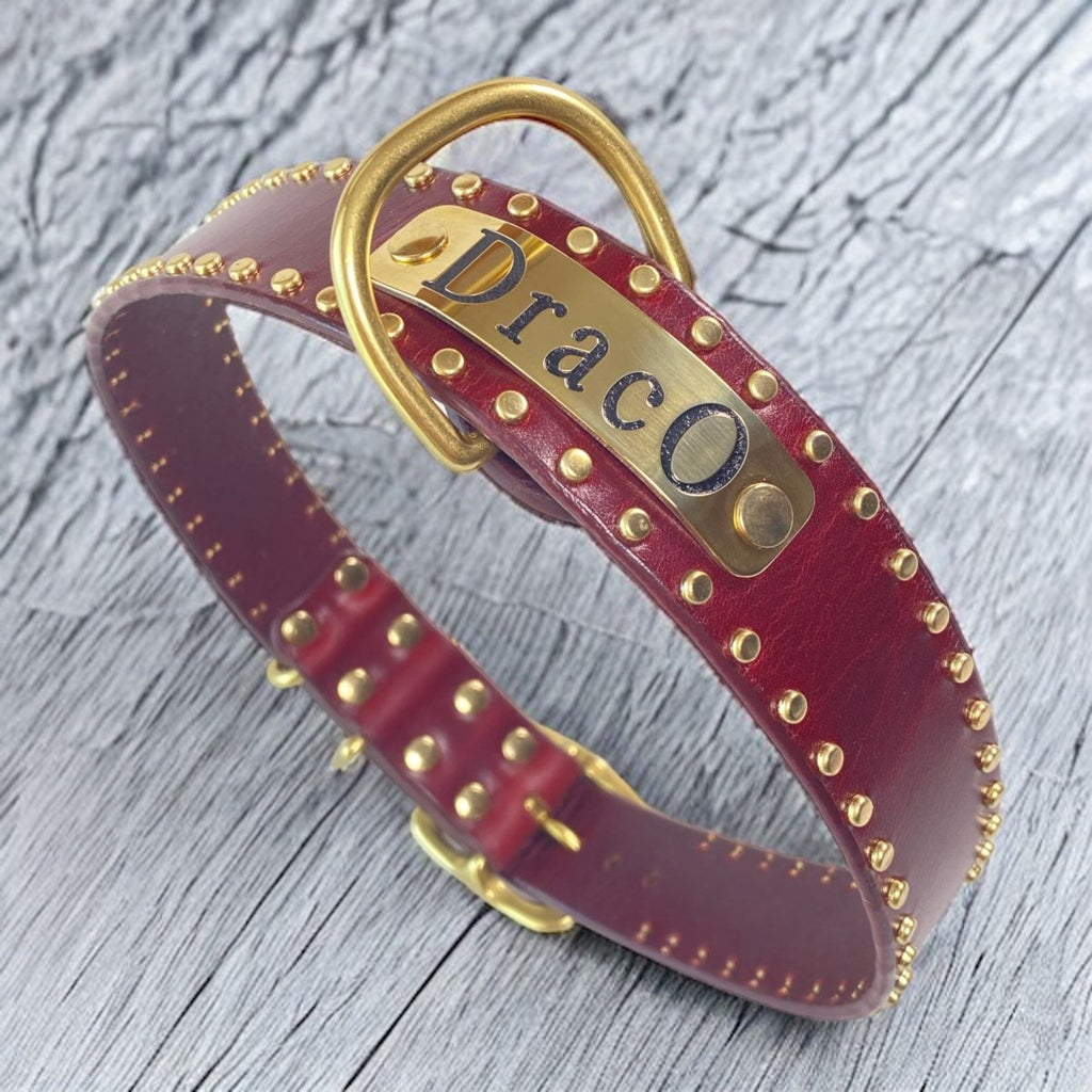 1.5" Wide Studded Leather Dog Collar with Nameplate