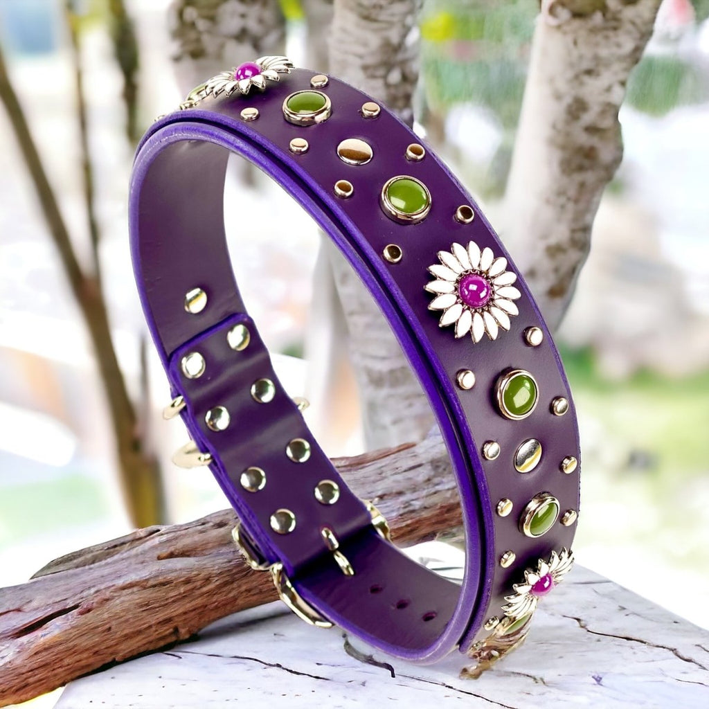 Purple Dog Collar Kalina