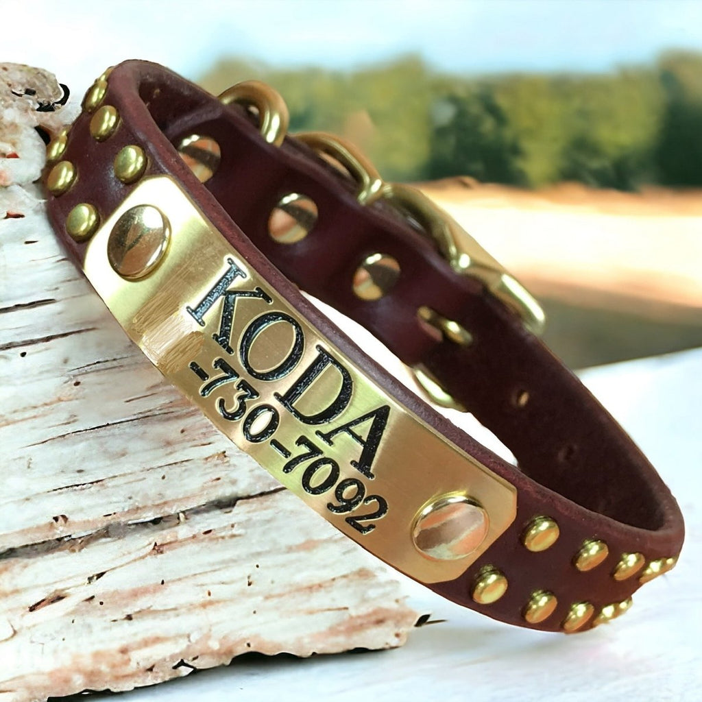 Native Leather Dog Collar