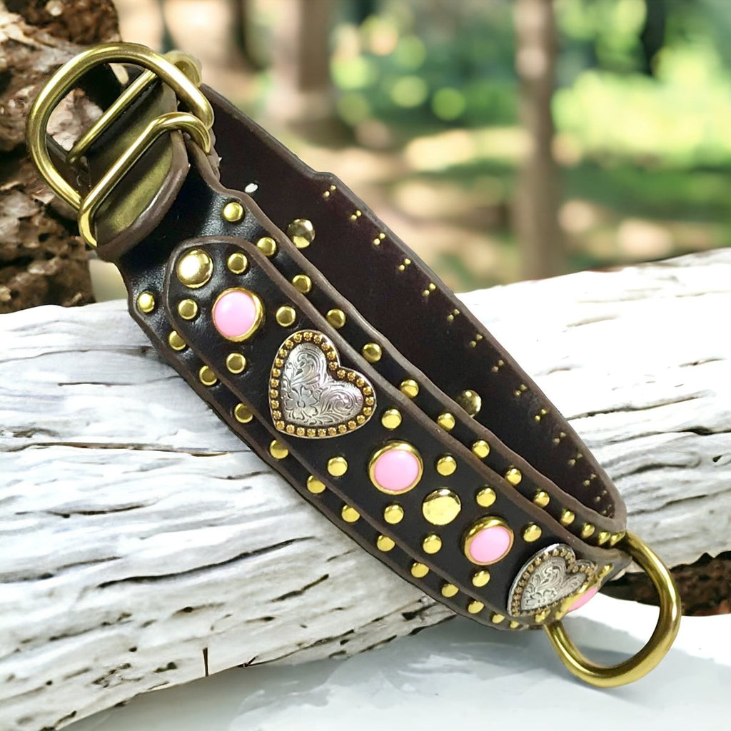 Custom Leather Dog Collar Humboldt