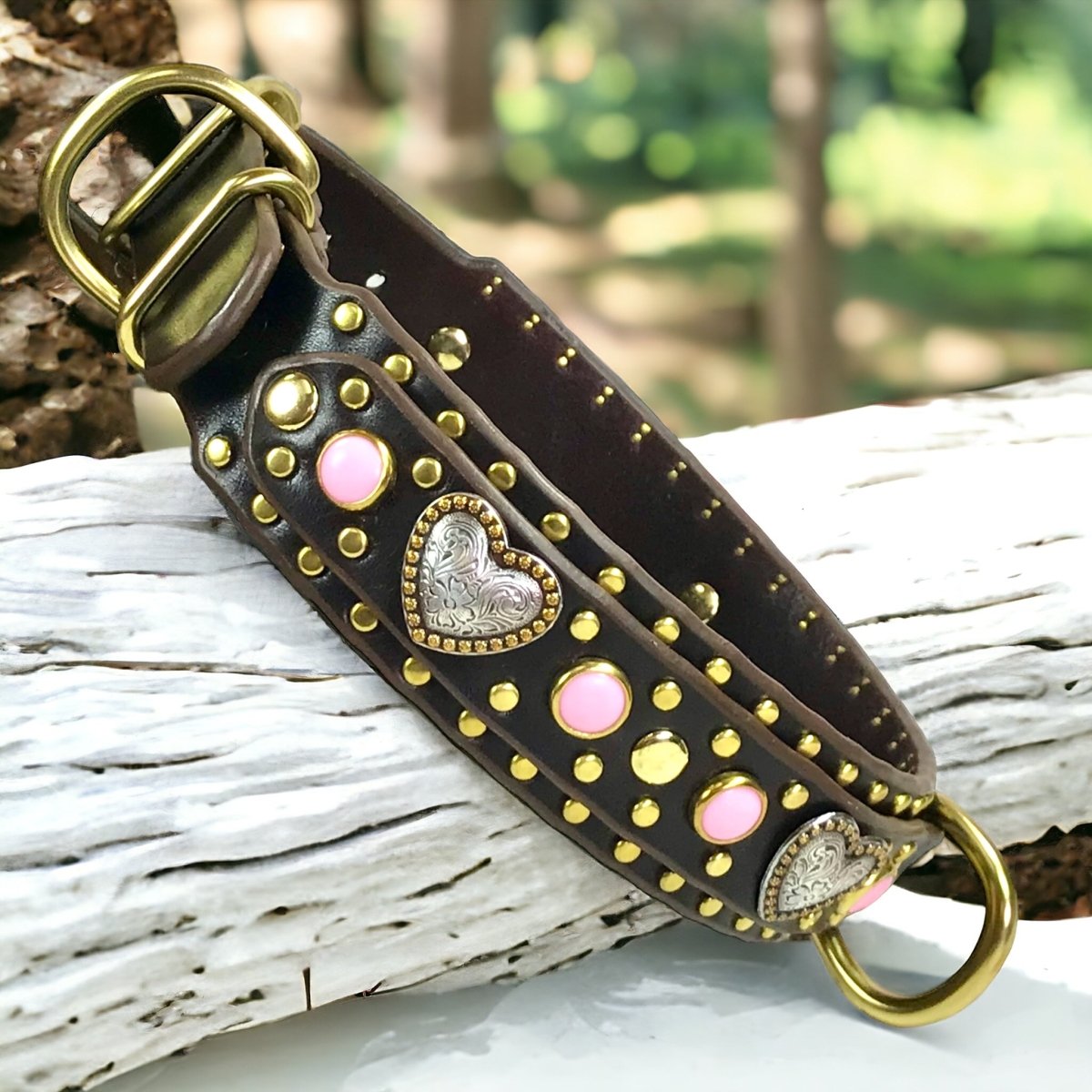 Custom Leather Dog Collar Humboldt