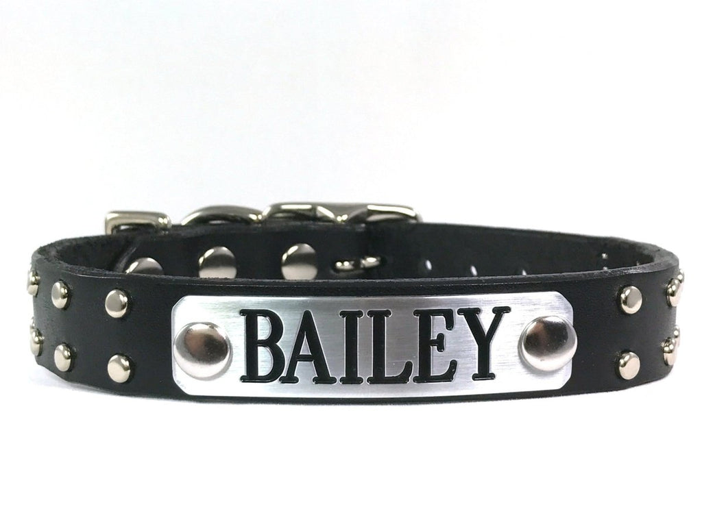 Native Leather Dog Collar