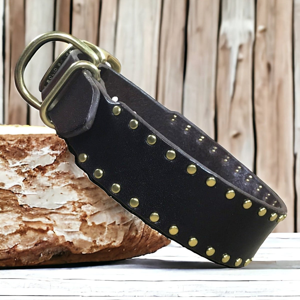 1.5" Wide Studded Leather Dog Collar with Nameplate