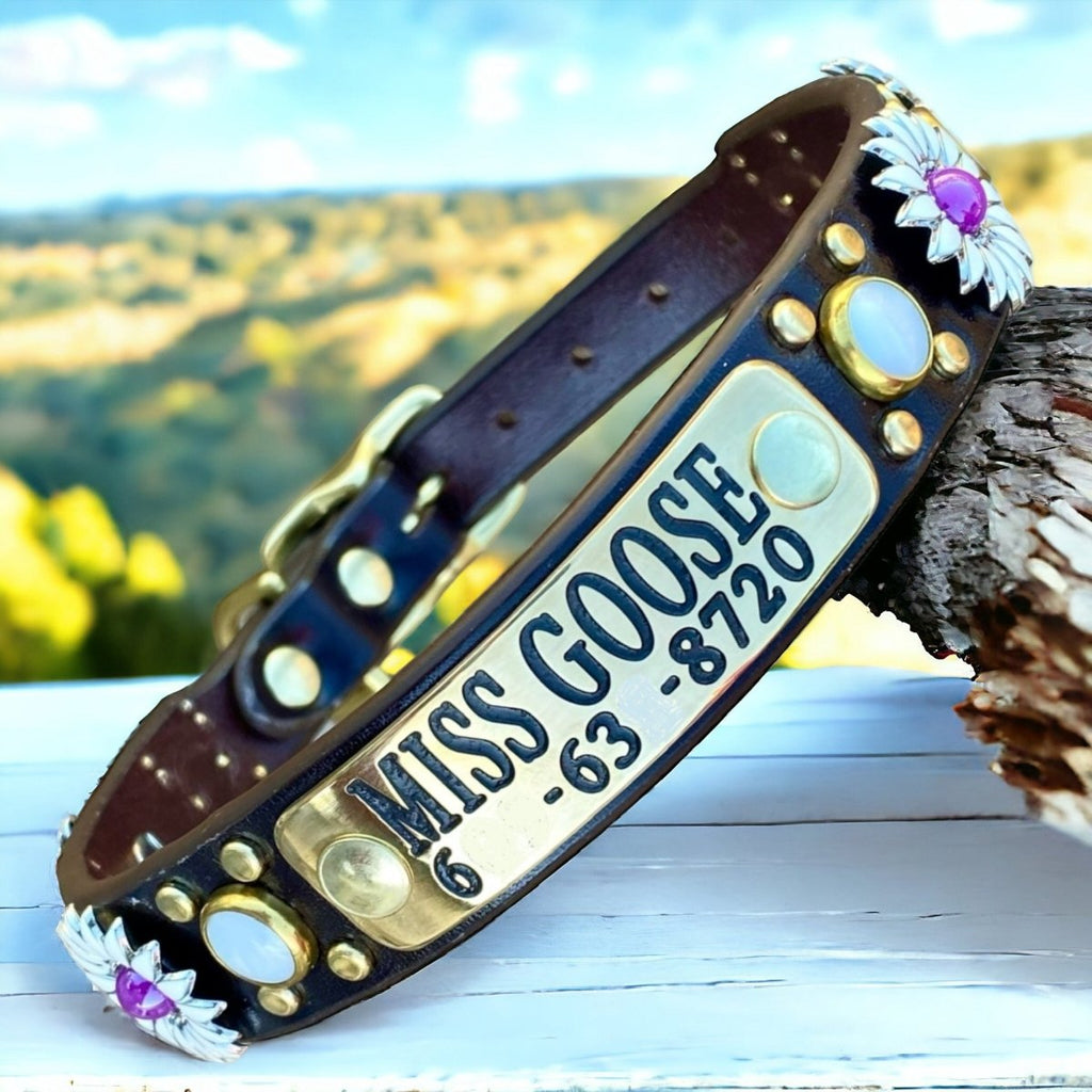Personalized Leather Dog Collar Yessena