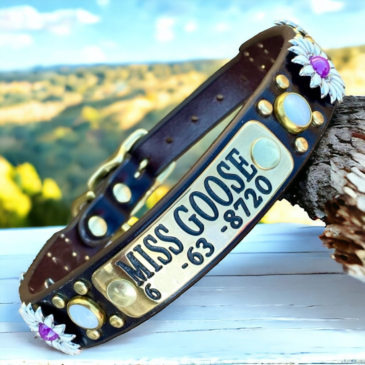 Personalized Leather Dog Collar Yessena