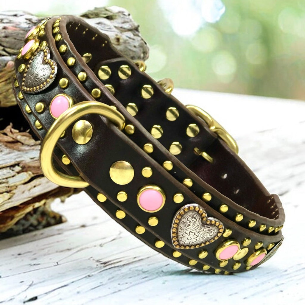 Custom Leather Dog Collar Humboldt