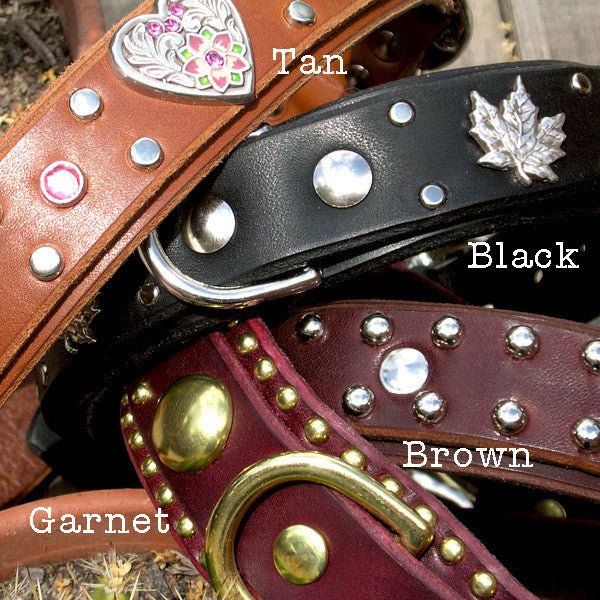 Targa Leather Dog Collar