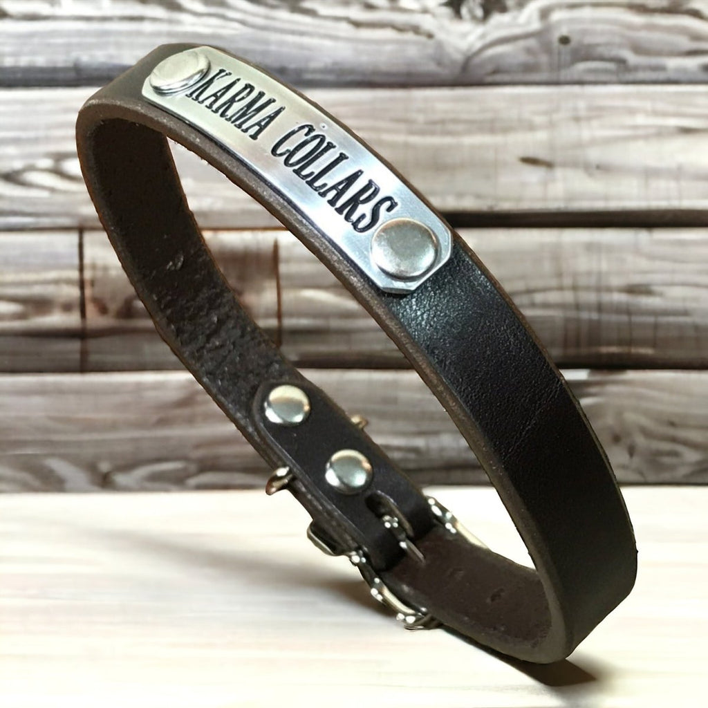 5/8" Wide Basic Leather Dog Collar with Nameplate