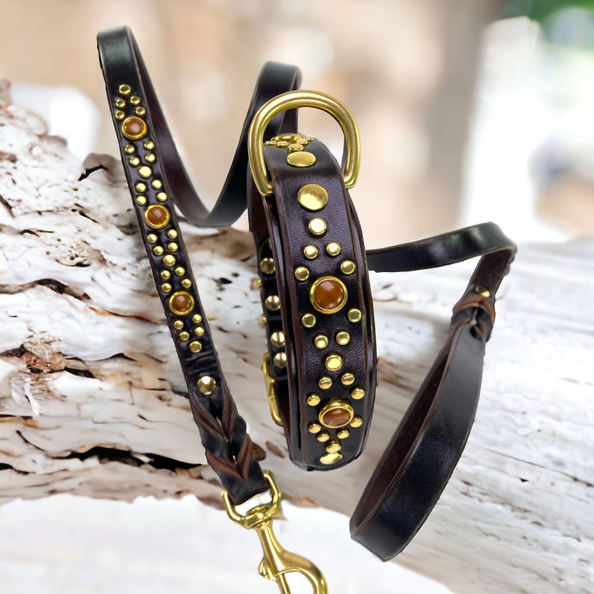 Phoenix Leather Dog Collar