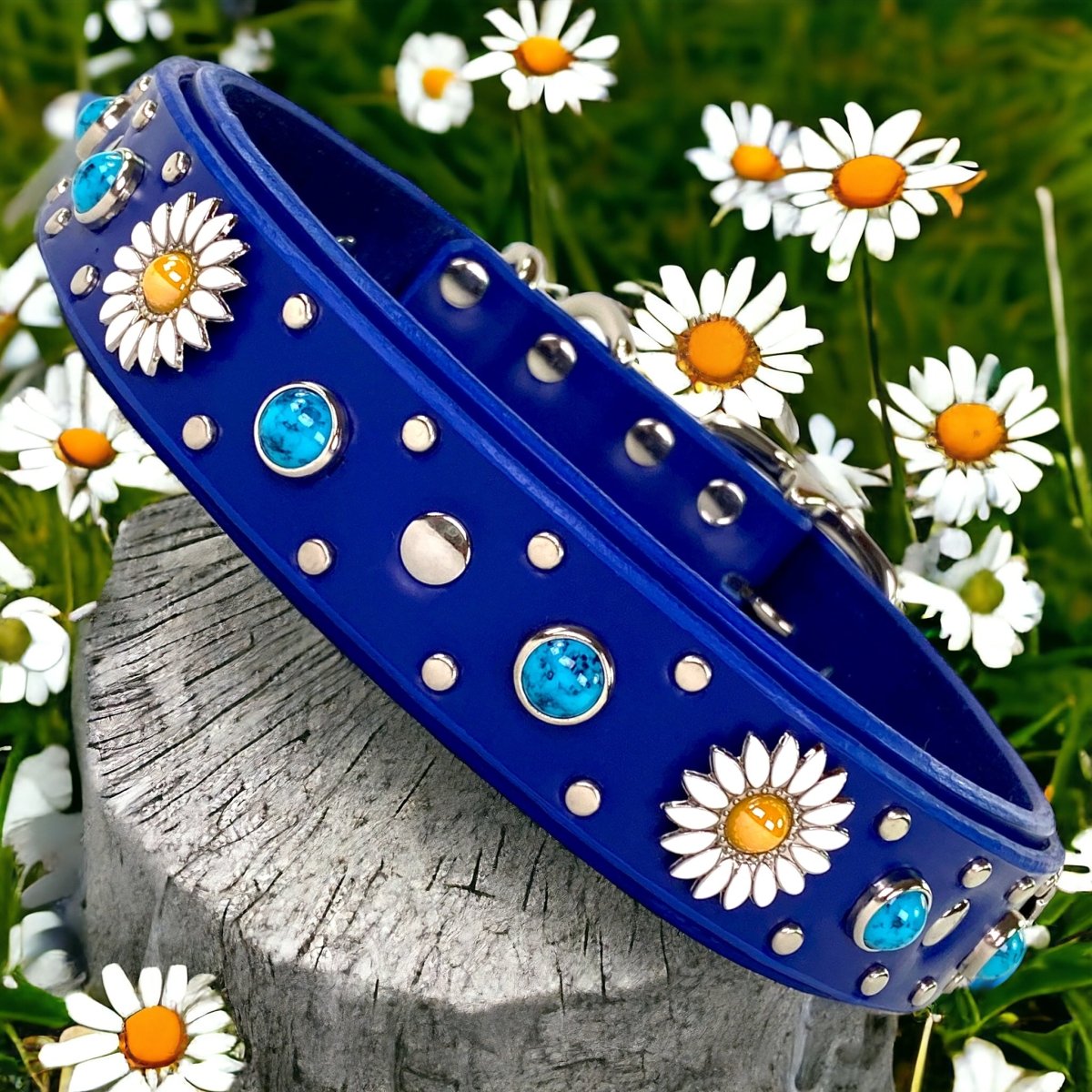 Blue Dog Collar Kalina