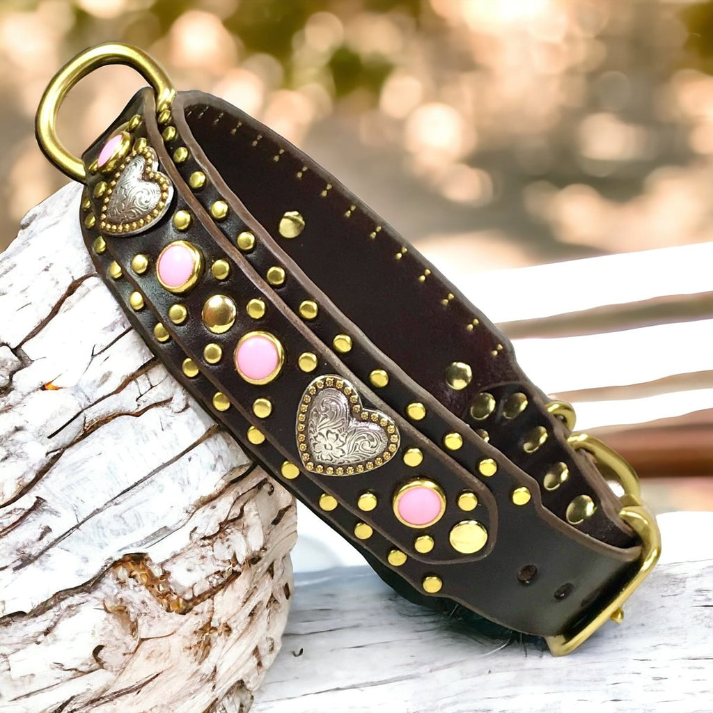 Custom Leather Dog Collar Humboldt