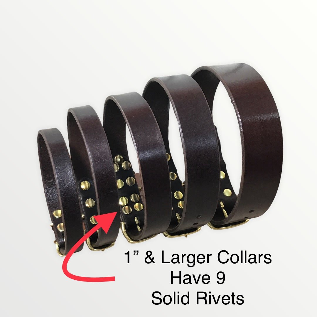 Leather Dog Collars 5/8", 3/4", 1", 1.25", & 1.5" Wide