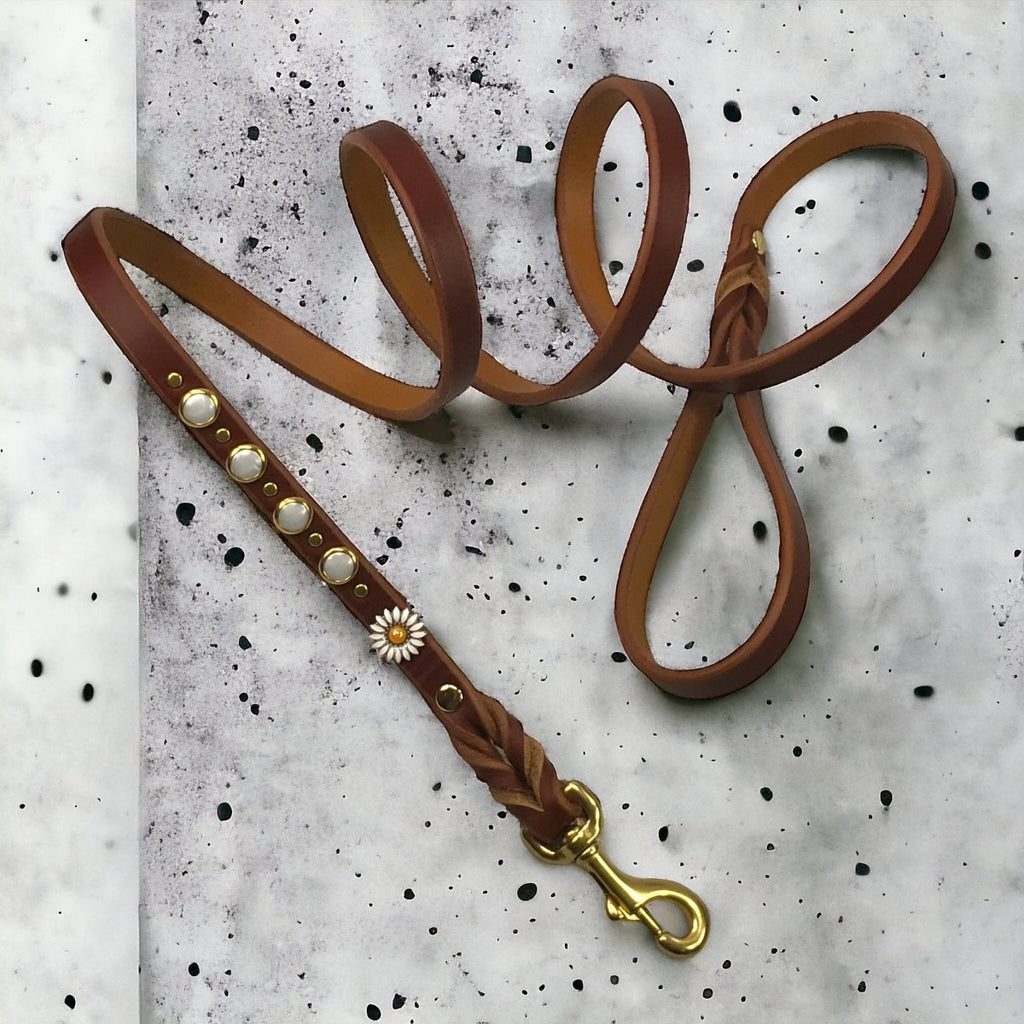 Yessena Nameplate Leather Dog Collar