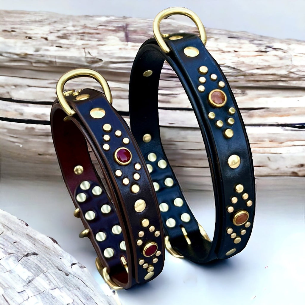 Phoenix Leather Dog Collar
