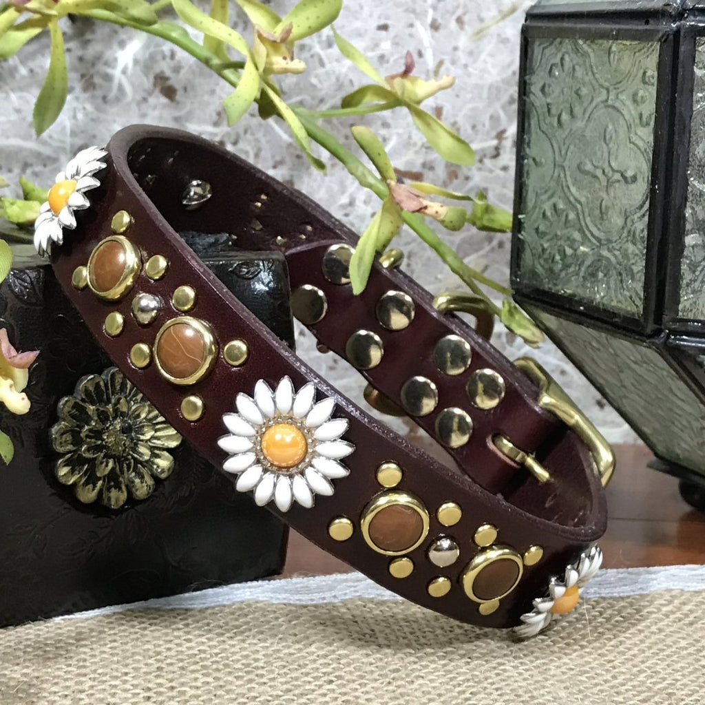 Designer Leather Dog Collar Yessena