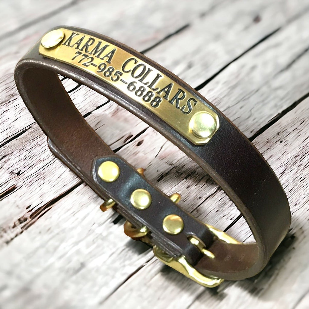 3/4" Wide Basic Leather Dog Collar with Nameplate