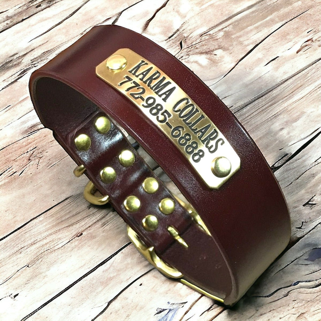 1.5" Wide Basic Leather Dog Collar with Nameplate