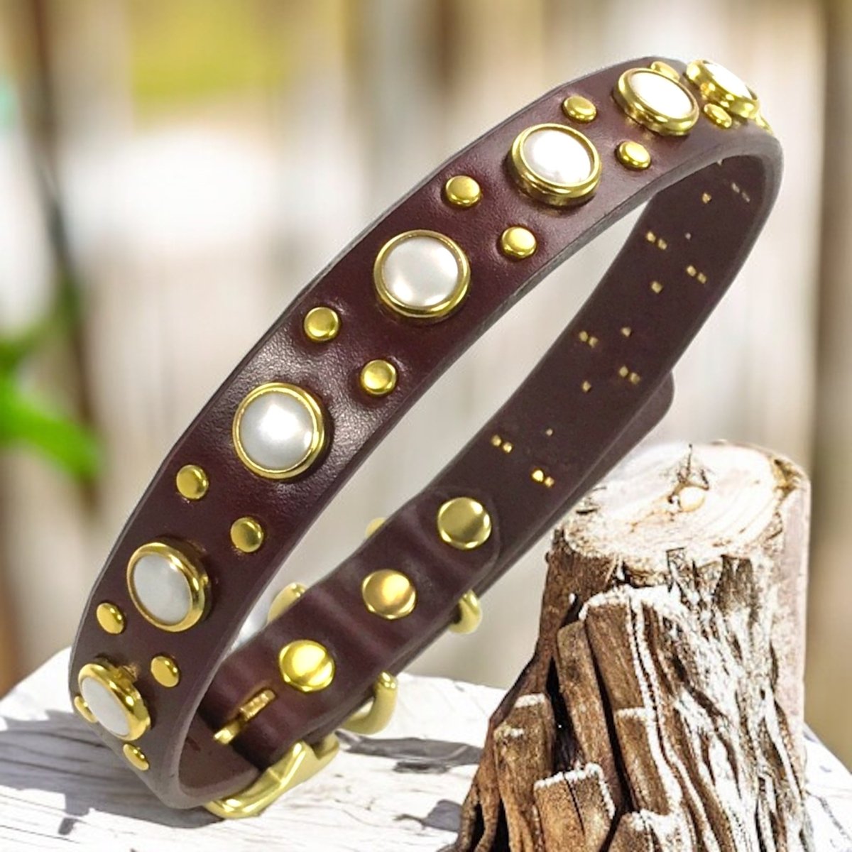 Leather Dog Collar Zion