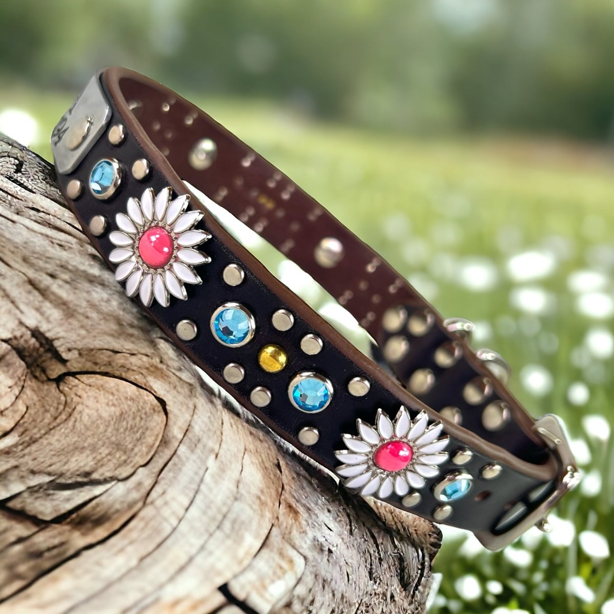 Designer Leather Dog Collar Yessena